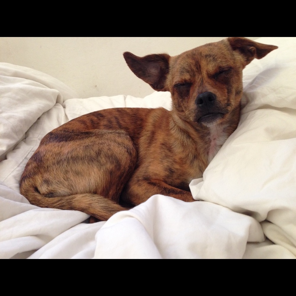 Meet your Posher, Raina